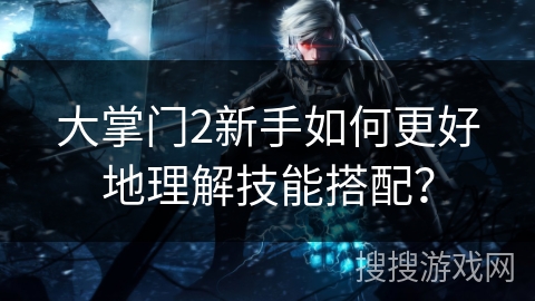 大掌门2新手如何更好地理解技能搭配？