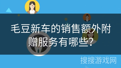 毛豆新车的销售额外附赠服务有哪些? 毛豆新车的销售额外附赠服务有哪些?