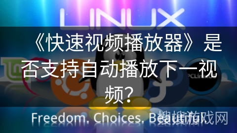 《快速视频播放器》是否支持自动播放下一视频? 《快速视频播放器》是否支持自动播放下一视频?