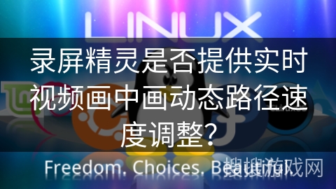 录屏精灵是否提供实时视频画中画动态路径速度调整？