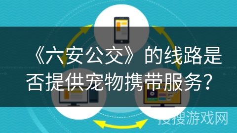 《六安公交》的线路是否提供宠物携带服务？
