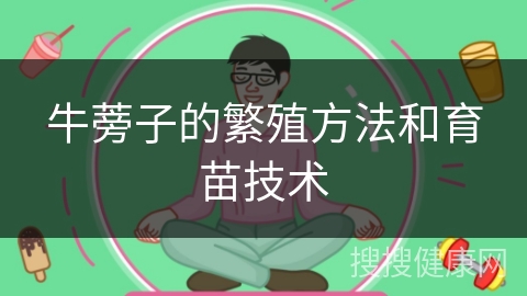 牛蒡子的繁殖方法和育苗技术