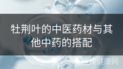 牡荆叶的中医药材与其他中药的搭配