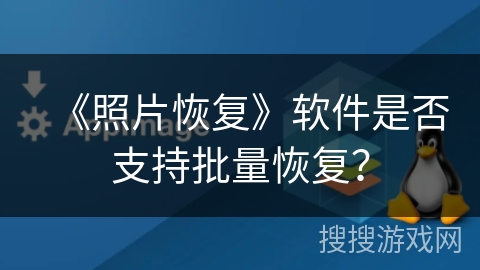 《照片恢复》软件是否支持批量恢复? 《照片恢复》软件是否支持批量恢复?