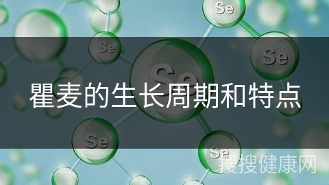 瞿麦的生长周期和特点