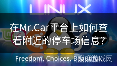 在Mr.Car平台上如何查看附近的停车场信息？