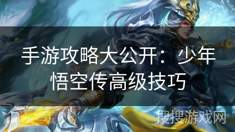 手游攻略大公开：少年悟空传高级技巧
