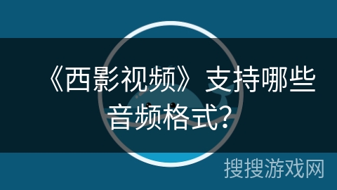《西影视频》支持哪些音频格式? 《西影视频》支持哪些音频格式?