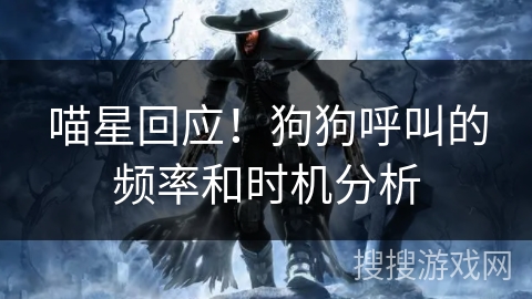 喵星回应!狗狗呼叫的频率和时机分析 喵星回应!狗狗呼叫的频率和时机分析