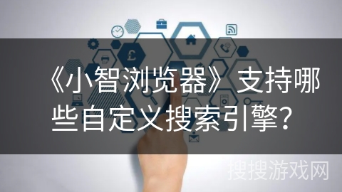 《小智浏览器》支持哪些自定义搜索引擎? 《小智浏览器》支持哪些自定义搜索引擎?