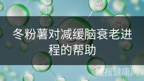 冬粉薯对减缓脑衰老进程的帮助