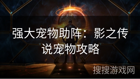 强大宠物助阵：影之传说宠物攻略