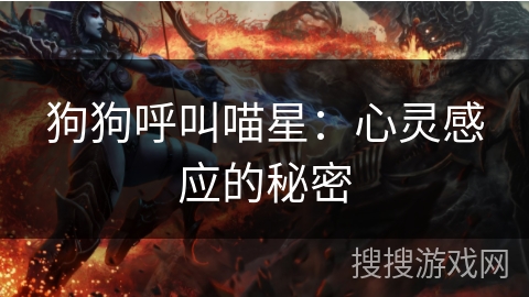 狗狗呼叫喵星：心灵感应的秘密