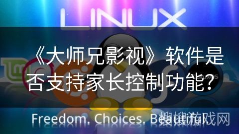 《大师兄影视》软件是否支持家长控制功能？
