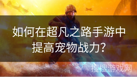 如何在超凡之路手游中提高宠物战力？