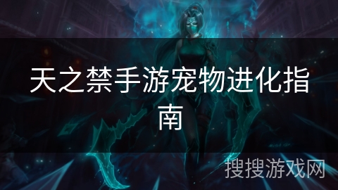 天之禁手游宠物进化指南