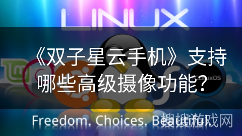 《双子星云手机》支持哪些高级摄像功能？