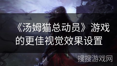 《汤姆猫总动员》游戏的更佳视觉效果设置
