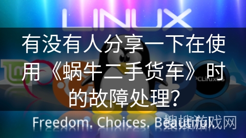 有没有人分享一下在使用《蜗牛二手货车》时的故障处理？