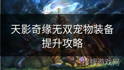 天影奇缘无双宠物装备提升攻略