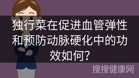 独行菜在促进血管弹性和预防动脉硬化中的功效如何？