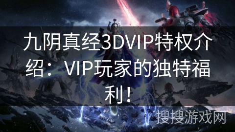 九阴真经3DVIP特权介绍:VIP玩家的独特福利! 九阴真经3DVIP特权介绍:VIP玩家的独特福利!
