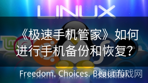 《极速手机管家》如何进行手机备份和恢复？