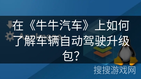 在《牛牛汽车》上如何了解车辆自动驾驶升级包？