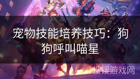 宠物技能培养技巧：狗狗呼叫喵星