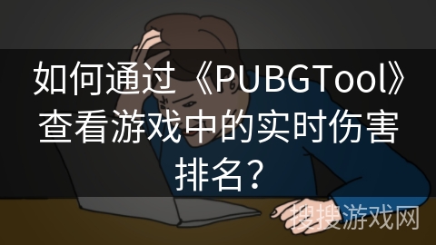 如何通过《PUBGTool》查看游戏中的实时伤害排名？