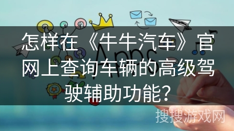 怎样在《牛牛汽车》官网上查询车辆的高级驾驶辅助功能？