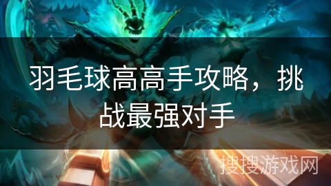 羽毛球高高手攻略，挑战最强对手