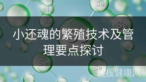 小还魂的繁殖技术及管理要点探讨