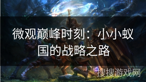 微观巅峰时刻：小小蚁国的战略之路