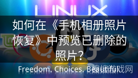 如何在《手机相册照片恢复》中预览已删除的照片？