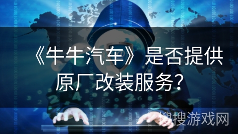 《牛牛汽车》是否提供原厂改装服务？