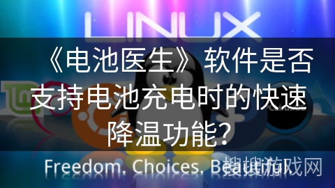 《电池医生》软件是否支持电池充电时的快速降温功能？