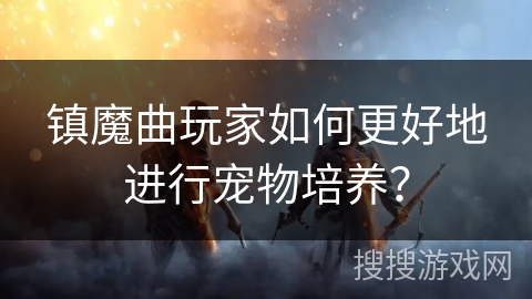 镇魔曲玩家如何更好地进行宠物培养？