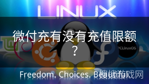 微付充有没有充值限额？