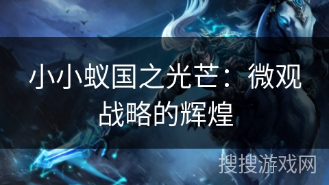 小小蚁国之光芒：微观战略的辉煌