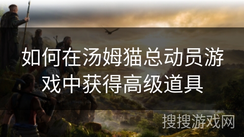 如何在汤姆猫总动员游戏中获得高级道具