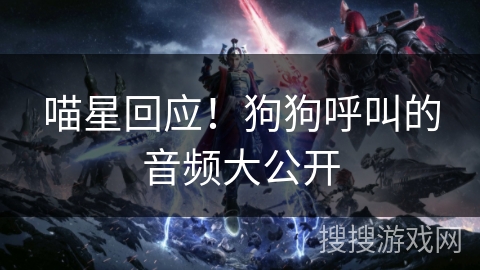 喵星回应！狗狗呼叫的音频大公开