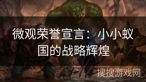 微观荣誉宣言：小小蚁国的战略辉煌