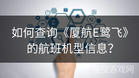如何查询《厦航E鹭飞》的航班机型信息？