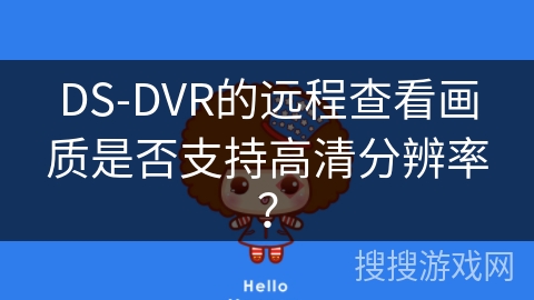 DS-DVR的远程查看画质是否支持高清分辨率？