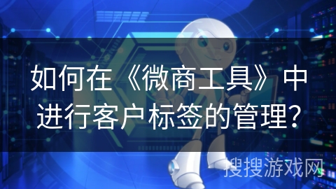 如何在《微商工具》中进行客户标签的管理？
