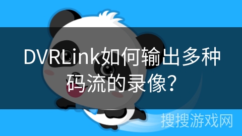 DVRLink如何输出多种码流的录像？