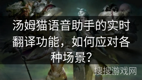 汤姆猫语音助手的实时翻译功能，如何应对各种场景？