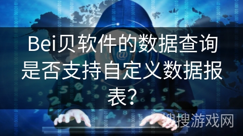 Bei贝软件的数据查询是否支持自定义数据报表？