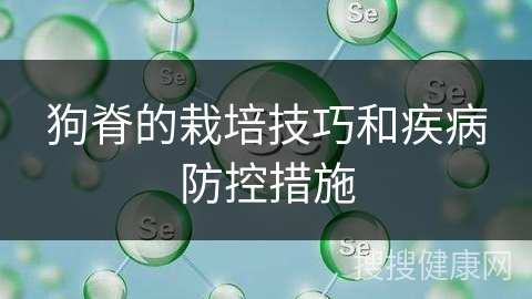 狗脊的栽培技巧和疾病防控措施